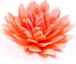 Dekoracja waflowa ASTER KORALOWY, sklep cukierniczy Kraków