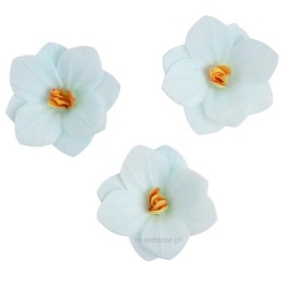 Dekoracja waflowa Hortensja CIENIOWANA NIEBIESKA 6 szt. Rose Decor, Kolor, Niebieski, sklep cukierniczy Kraków